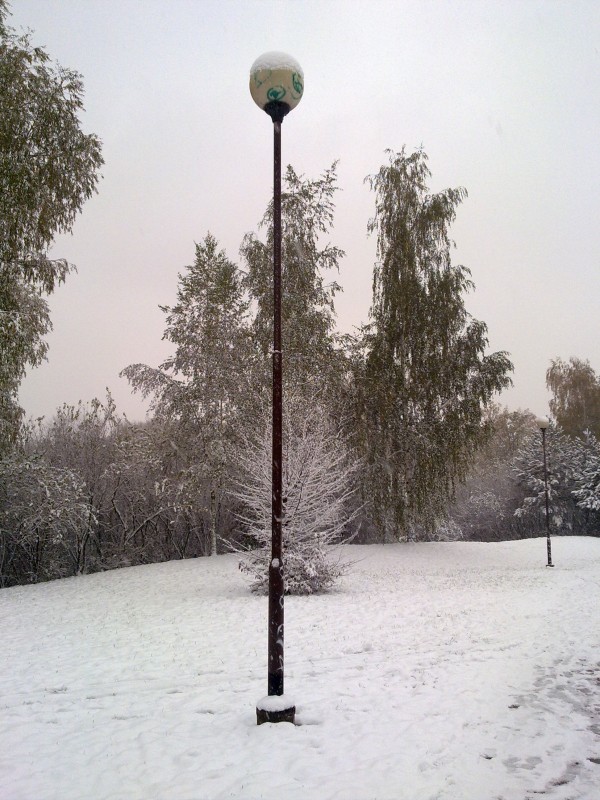 zima